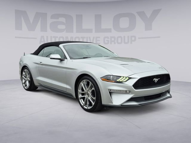 Used 2019 Ford Mustang Premium image 7