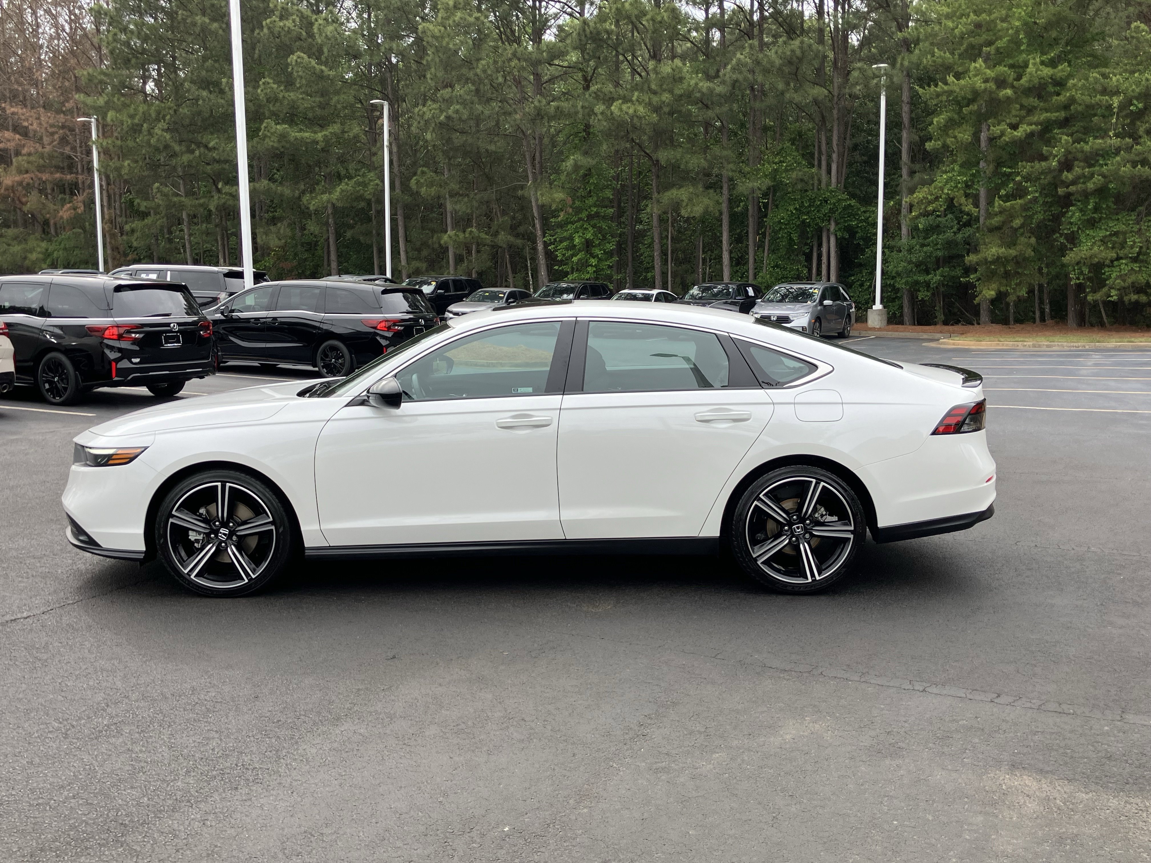Used 2025 Honda Accord Sport image 7