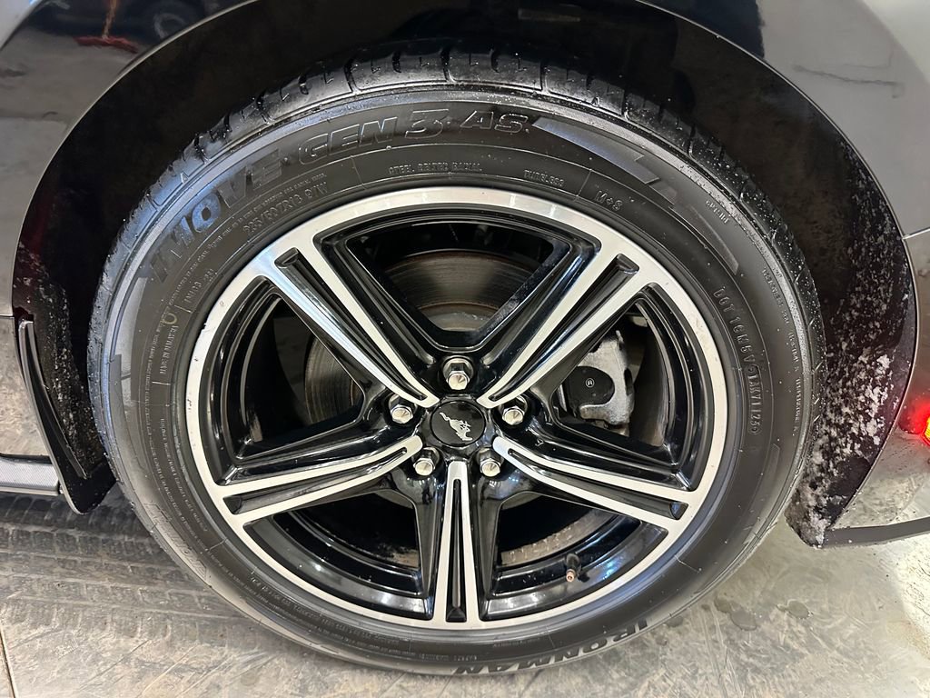 Used 2024 Ford Mustang Premium image 36