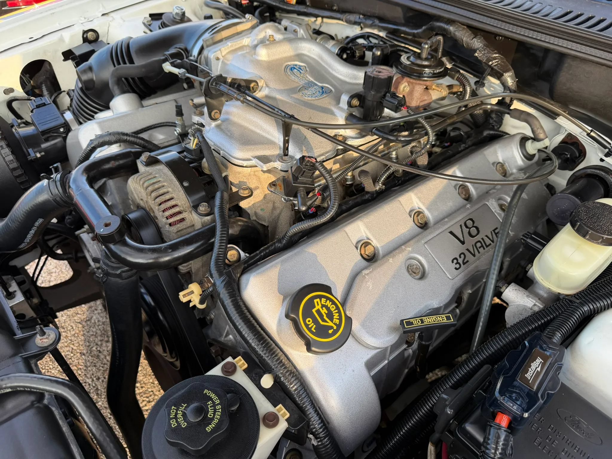 Used 1999 Ford Mustang Cobra RWD image 41