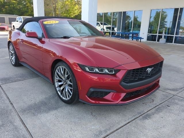 Used 2024 Ford Mustang Premium image 1