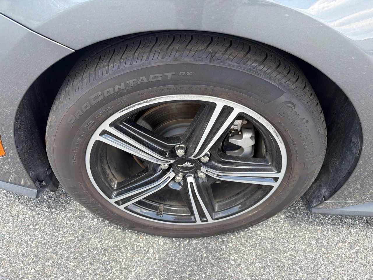 Used 2025 Ford Mustang Premium RWD image 11
