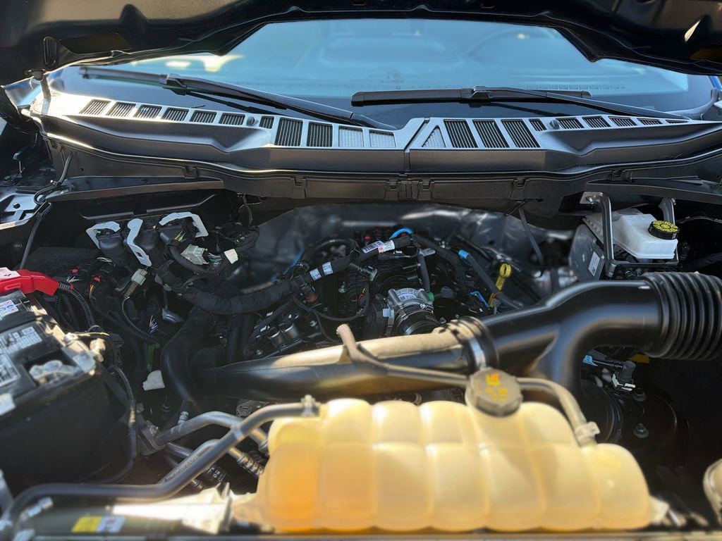 Used 2025 Ford F150 XLT w/ Equipment Group 301A Standard image 16