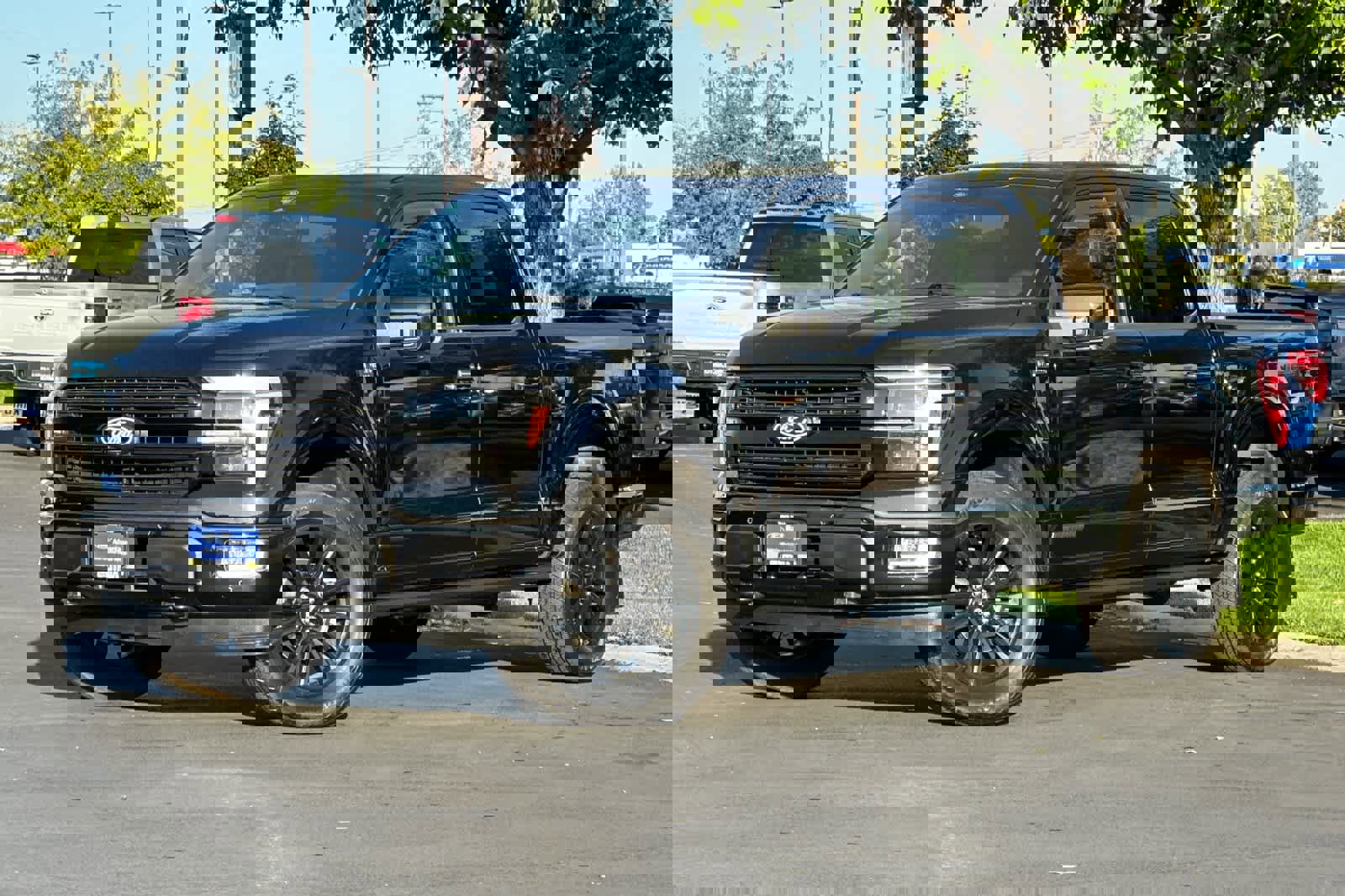 Certified 2025 Ford F150 Platinum w/ Equipment Group 702A High