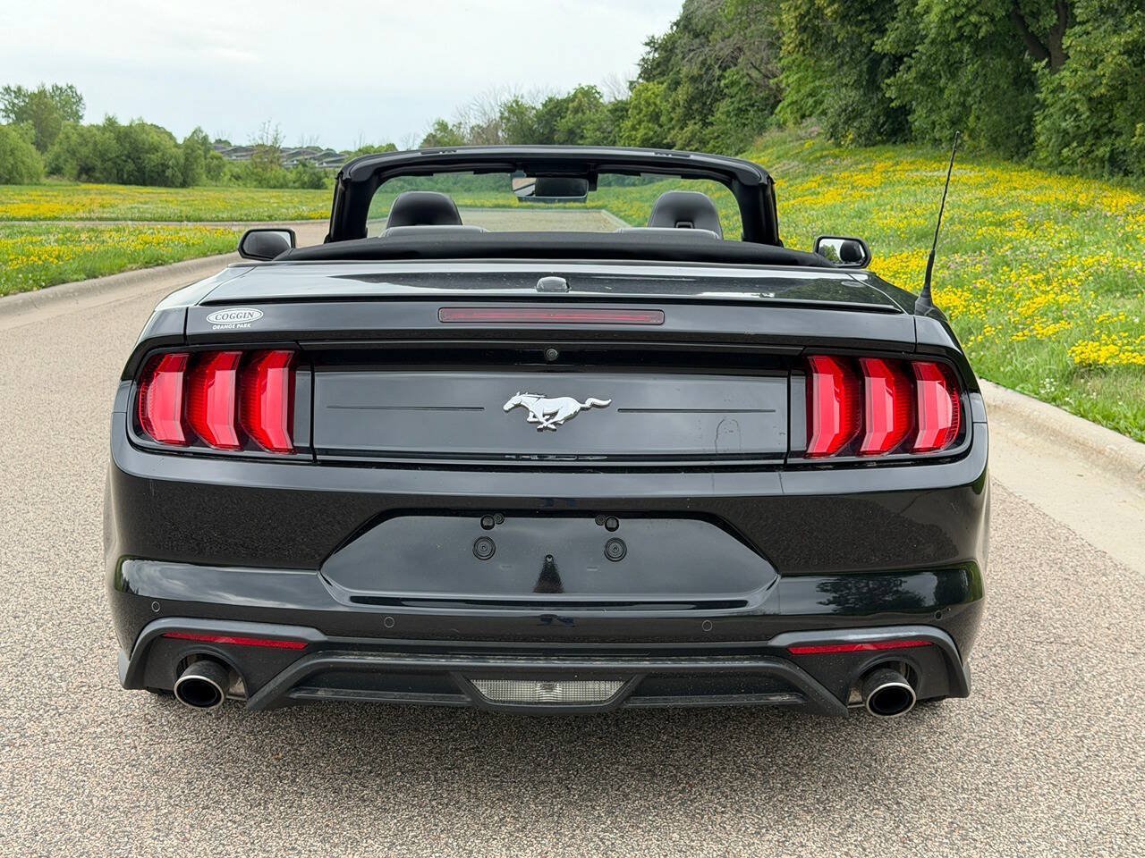 Used 2022 Ford Mustang Premium RWD image 4