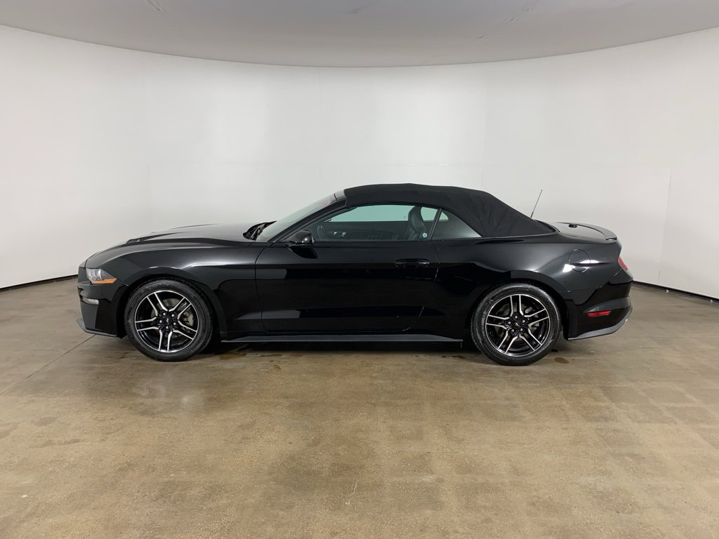 Used 2023 Ford Mustang Premium image 16