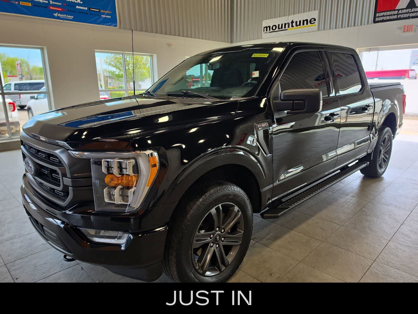 Used 2023 Ford F150 XLT w/ Equipment Group 302A High AWD/4WD image 1