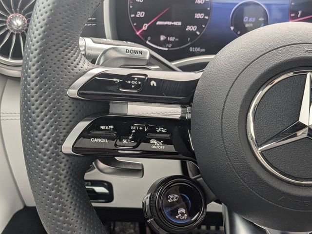 Used 2024 Mercedes-Benz AMG GT 55 image 23