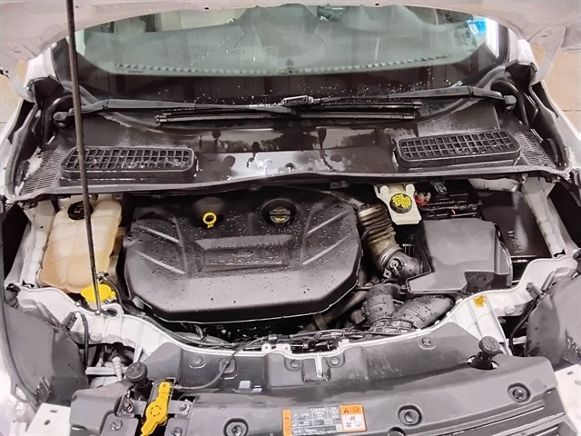 Used 2014 Ford Escape SE w/ Equipment Group 201A AWD/4WD image 9