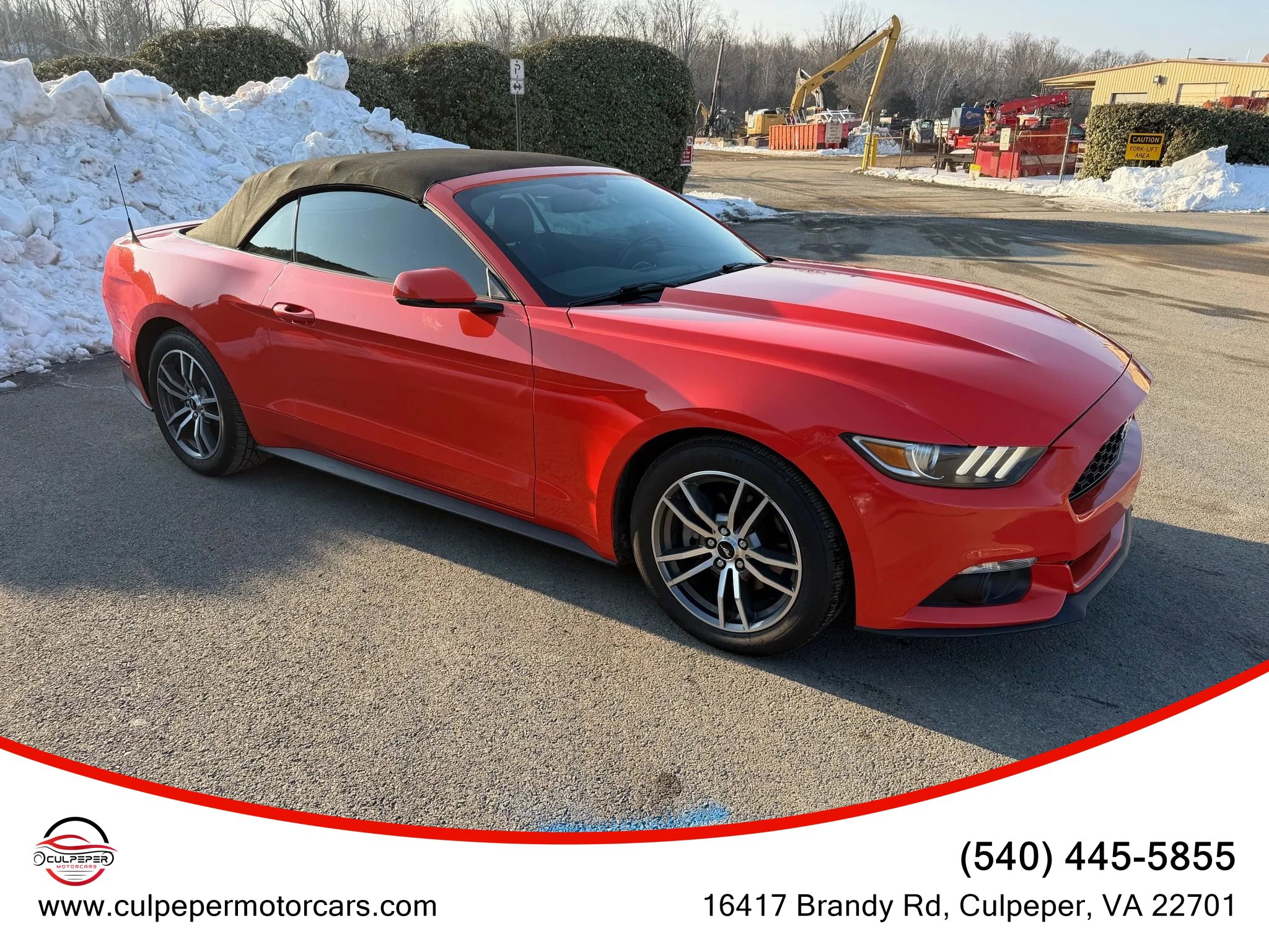 Used 2015 Ford Mustang Premium image 7