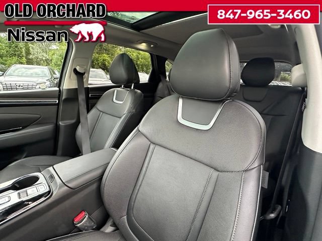 Used 2024 Hyundai Tucson Limited AWD/4WD image 11