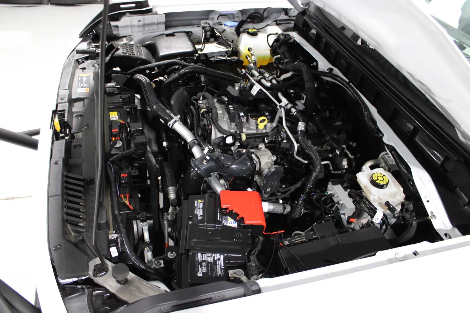 Used 2025 Ford Bronco Big Bend AWD/4WD image 10