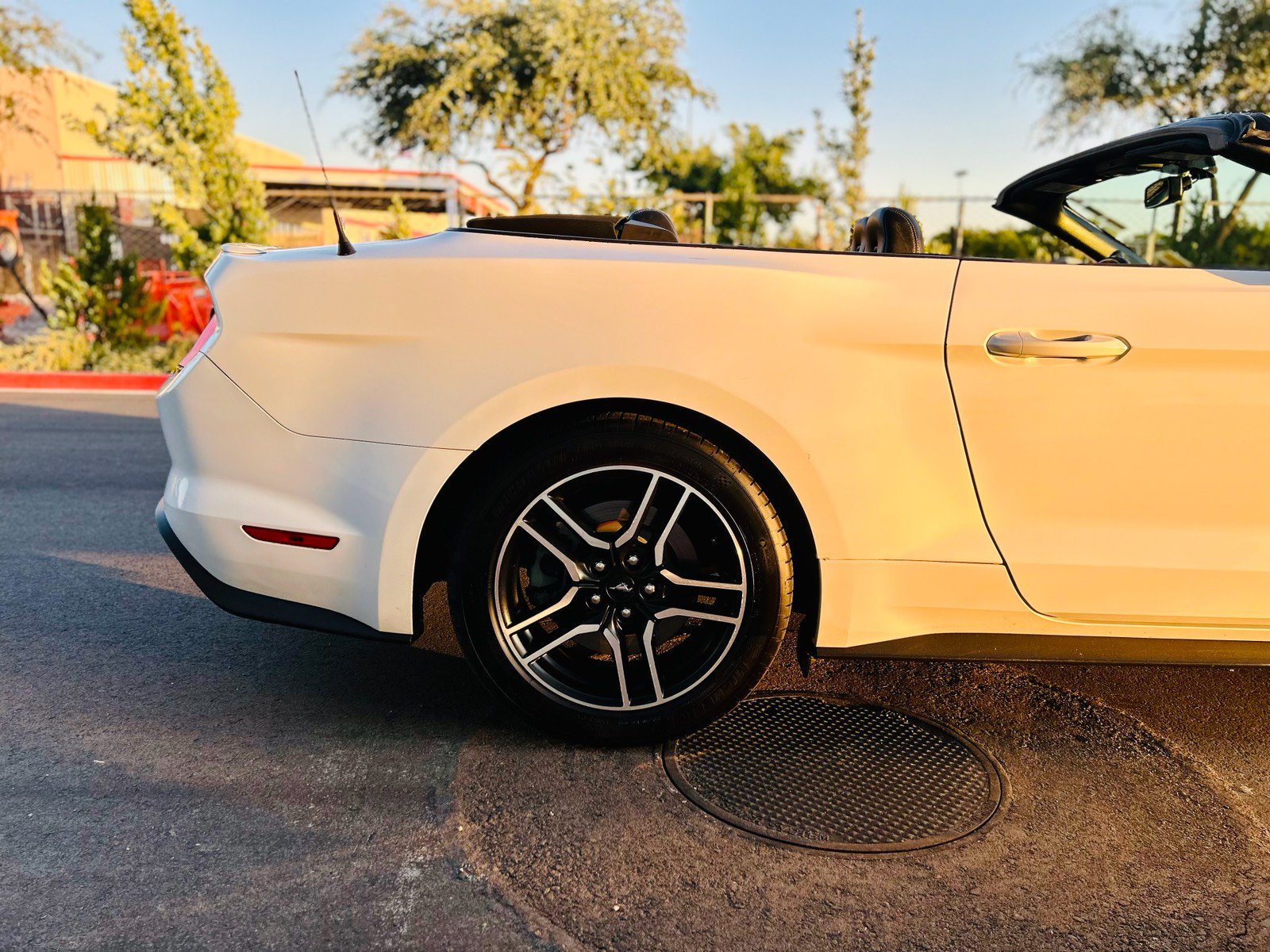 Used 2019 Ford Mustang GT Premium RWD image 11