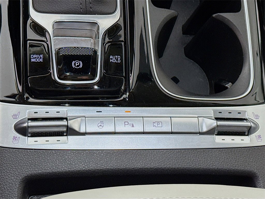 Used 2024 Kia Carnival SX Prestige image 13