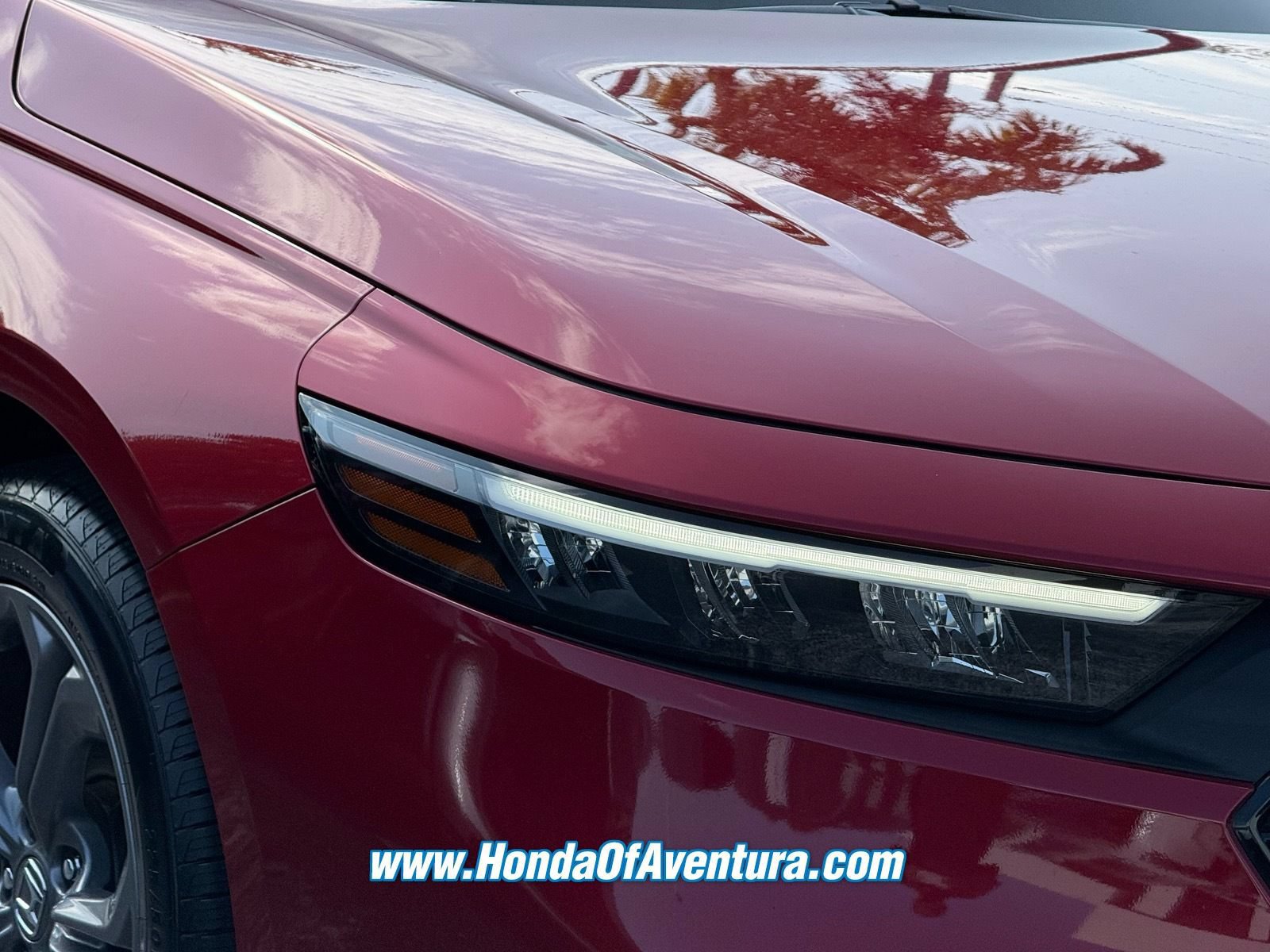 Certified 2024 Honda Accord EX image 9