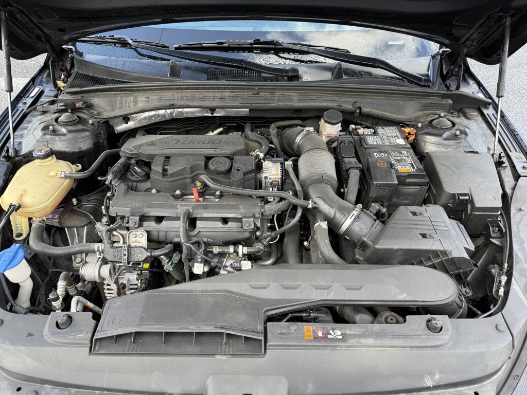 Used 2023 Kia K5 GT-Line w/ GT-Line Premium Package image 12