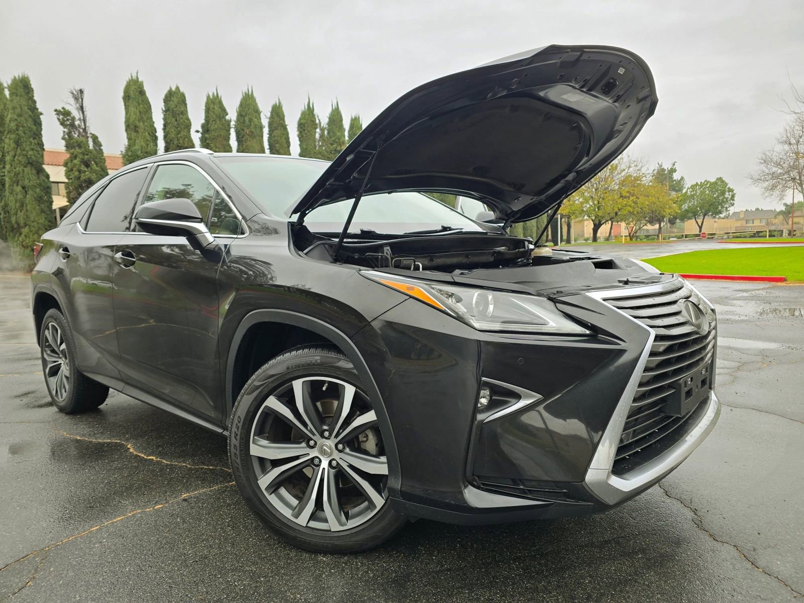Used 2017 Lexus RX 350 RX 350 Sport Utility 4D w/ Premium Package image 14
