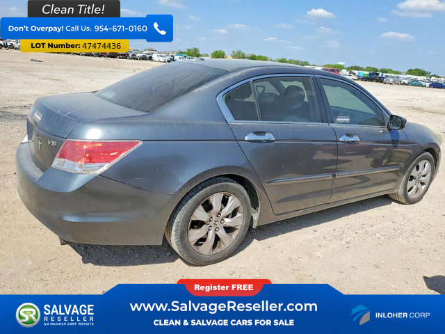 Used 2010 Honda Accord EX-L image 4