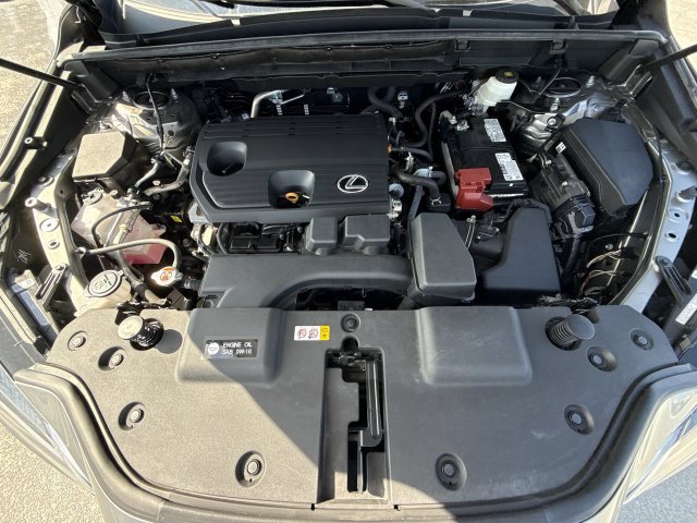 Certified 2024 Lexus NX 250 FWD w/ Cold Area Package image 27