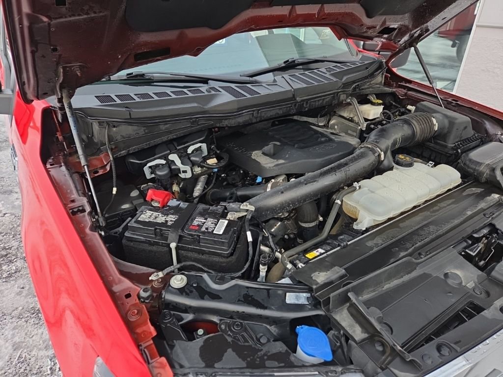 Used 2023 Ford F150 XLT image 36