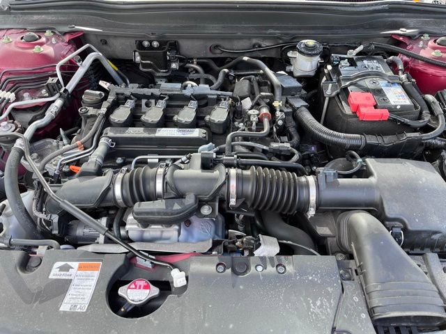 Used 2019 Honda Accord EX-L image 7