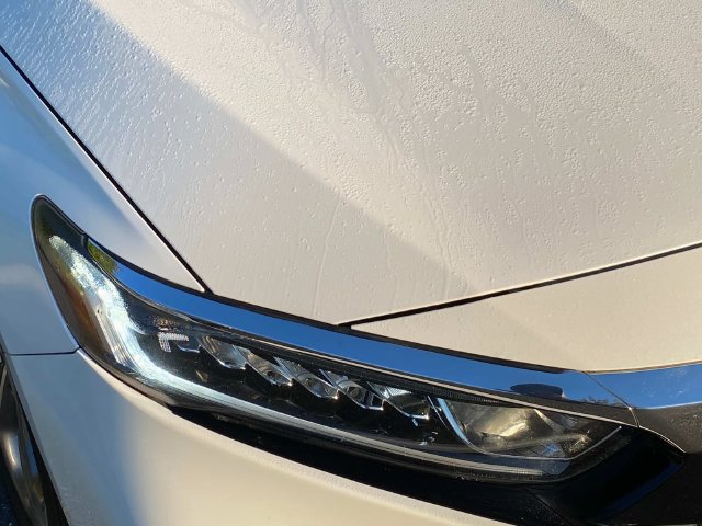 Used 2019 Honda Accord EX image 3