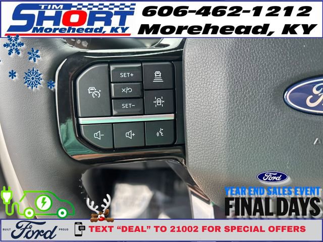 New 2025 Ford F150 Lightning Platinum image 18