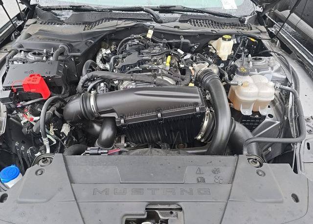 Used 2025 Ford Mustang Coupe RWD image 4