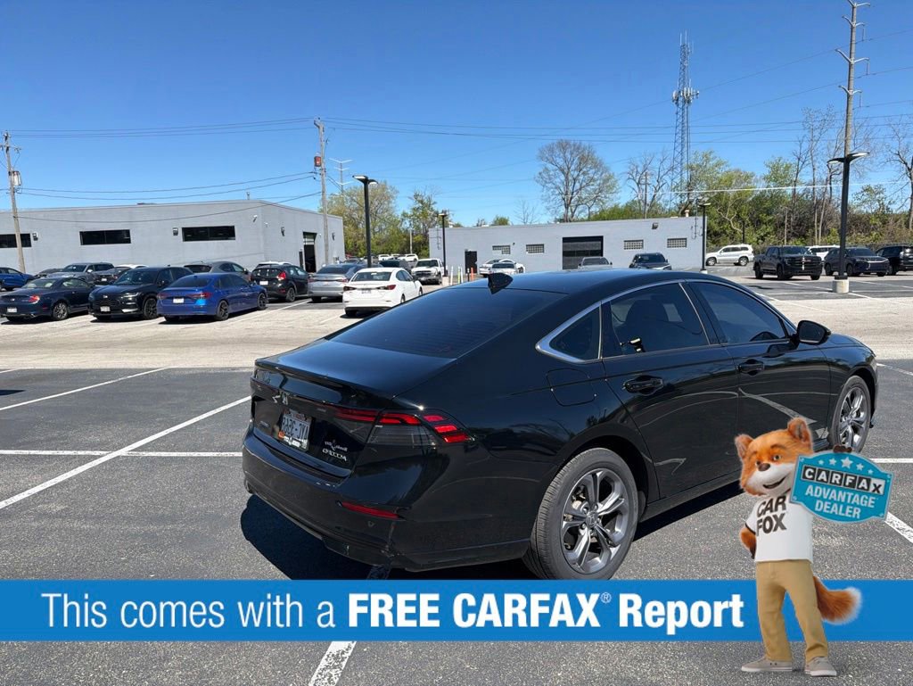 Used 2024 Honda Accord EX-L image 3