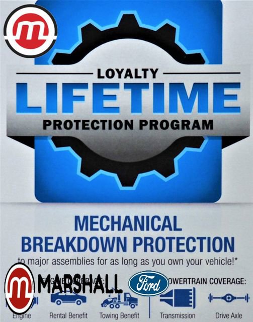 Used 2024 Ford Ranger XLT w/ Equipment Group 301A High image 1