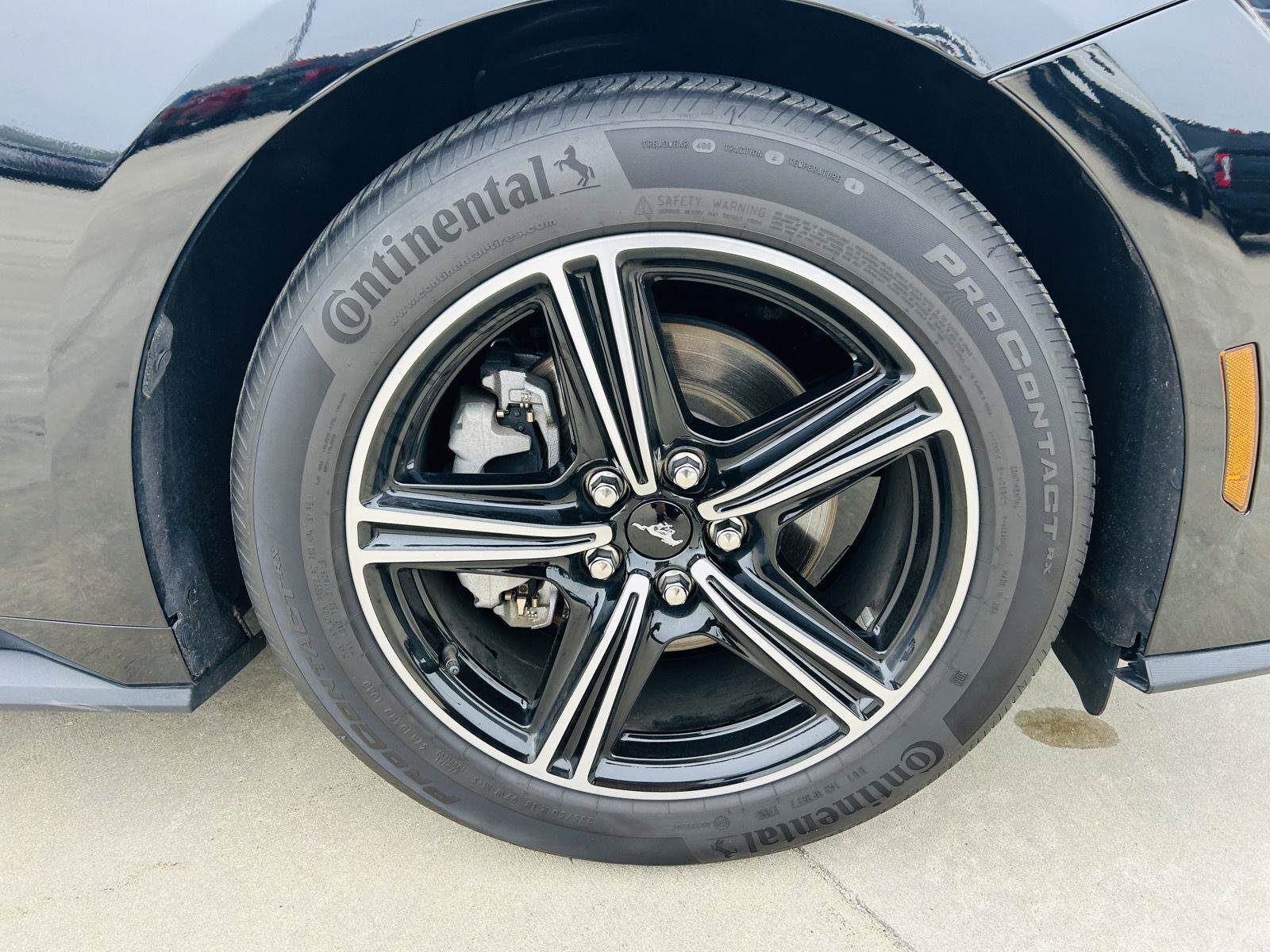 Used 2025 Ford Mustang Coupe RWD image 35