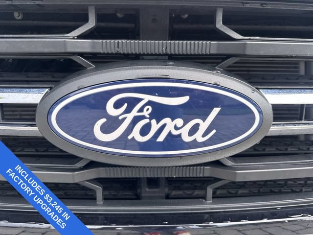 Used 2025 Ford F150 XLT w/ Equipment Group 301A Standard RWD image 10