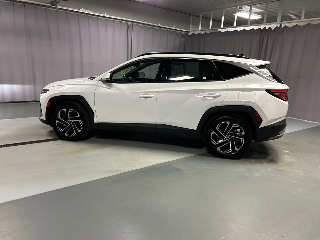Used 2025 Hyundai Tucson Limited image 4