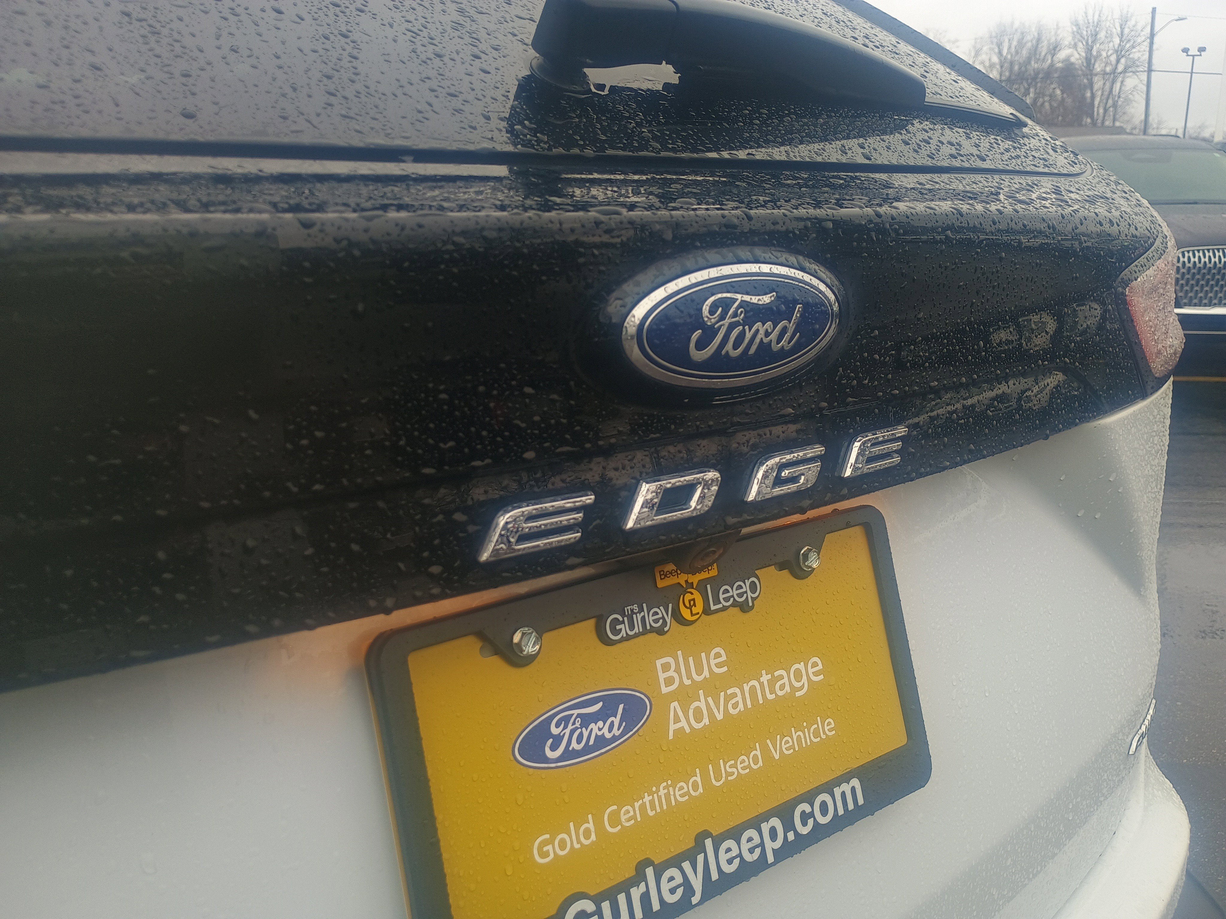 Certified 2024 Ford Edge SEL image 7