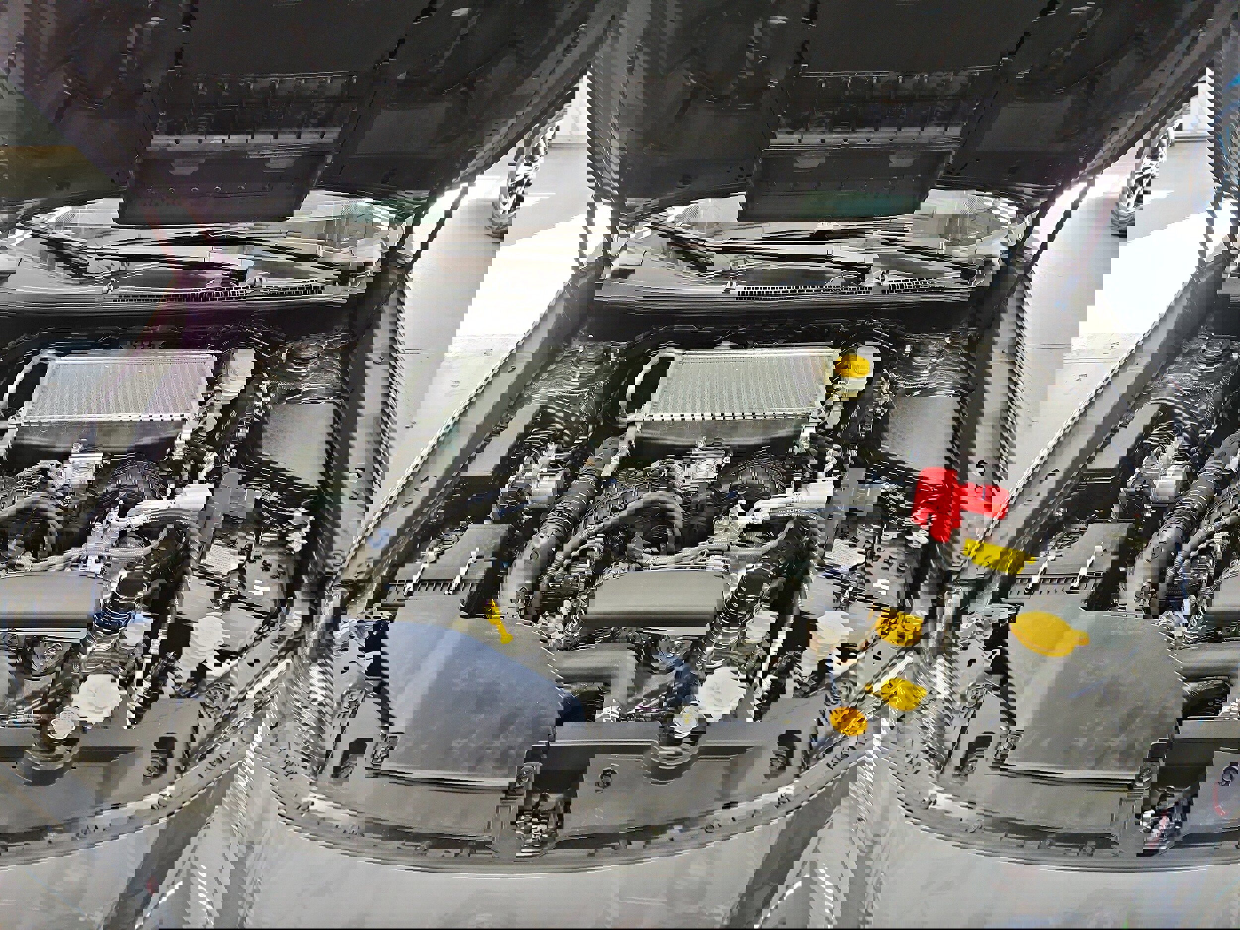 Certified 2025 Subaru WRX Premium image 24