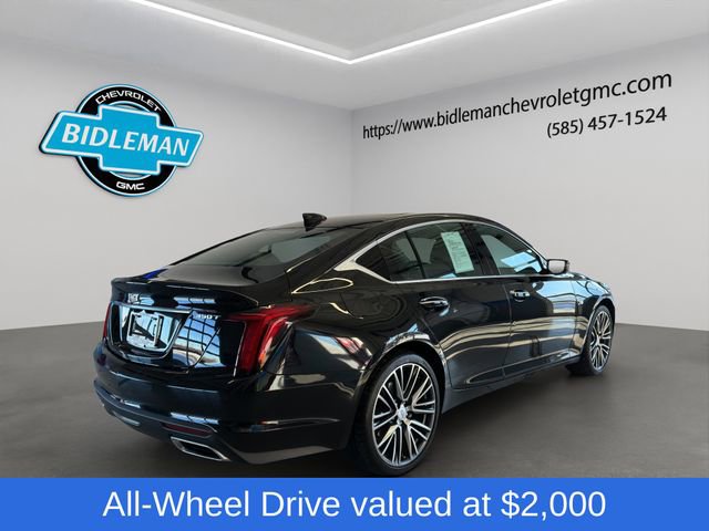 Used 2024 Cadillac CT5 Premium Luxury image 8