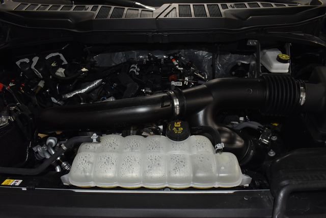 Used 2025 Ford F150 XLT w/ Equipment Group 301A Standard image 12