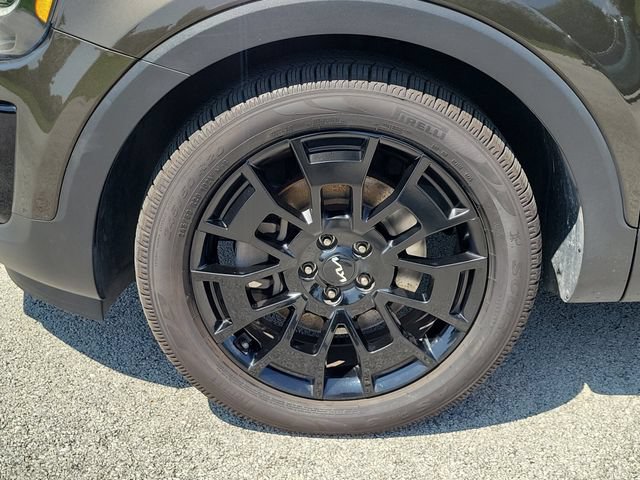 Used 2022 Kia Telluride SX w/ SX Prestige Package AWD/4WD image 7