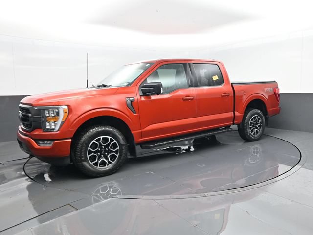 Used 2023 Ford F150 XLT w/ Equipment Group 302A High AWD/4WD image 1