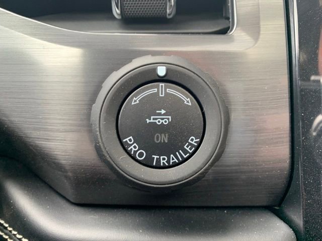 New 2025 Ford F150 Lightning Platinum image 23