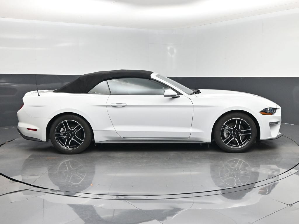 Used 2023 Ford Mustang Premium RWD image 2