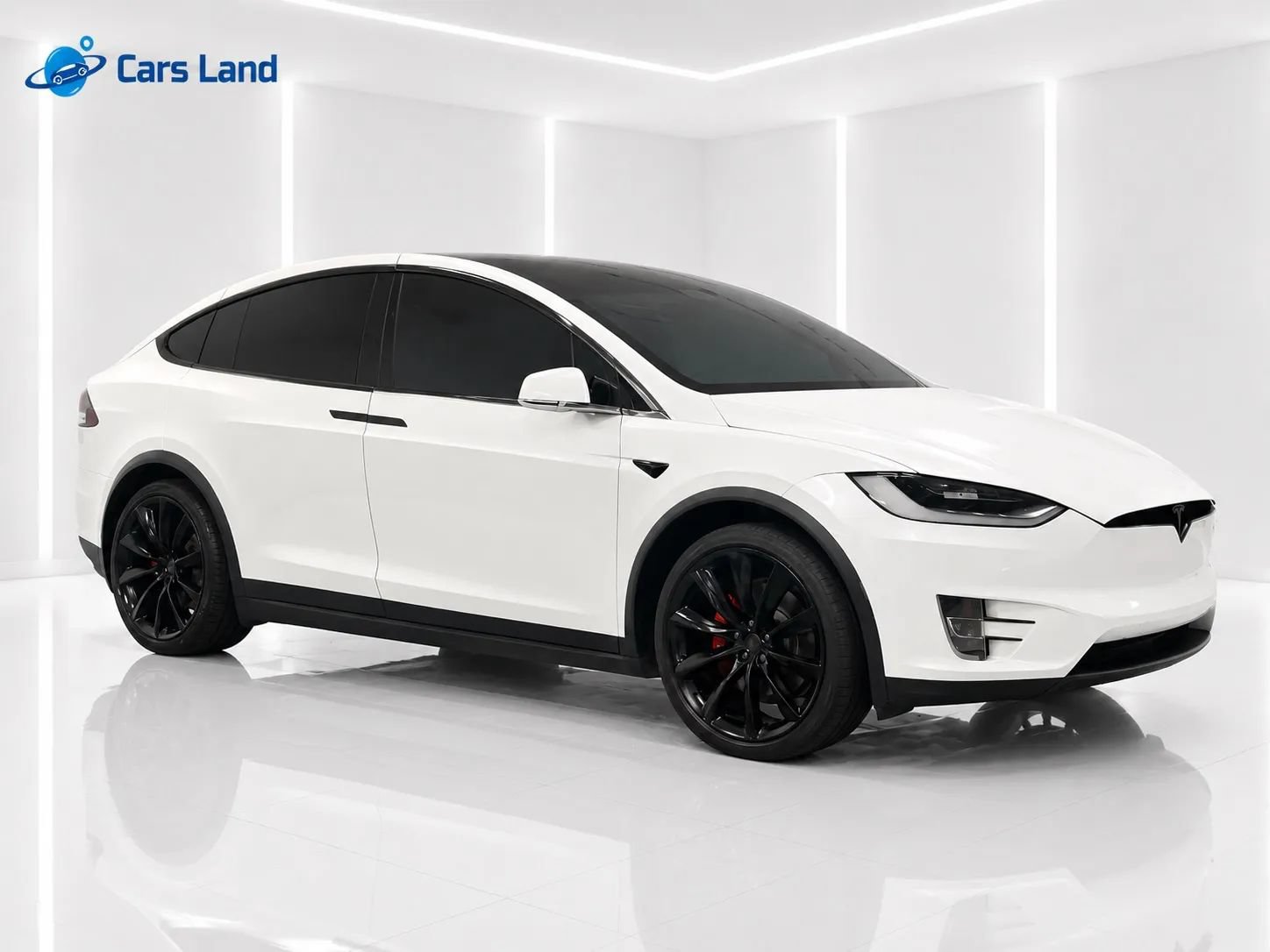 Used 2019 Tesla Model X Performance AWD/4WD image 2