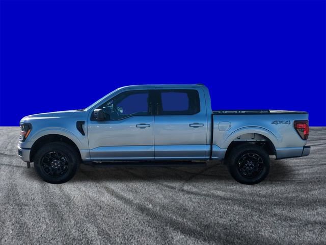 New 2026 Ford F150 XLT w/ XLT Black Appearance Package image 7