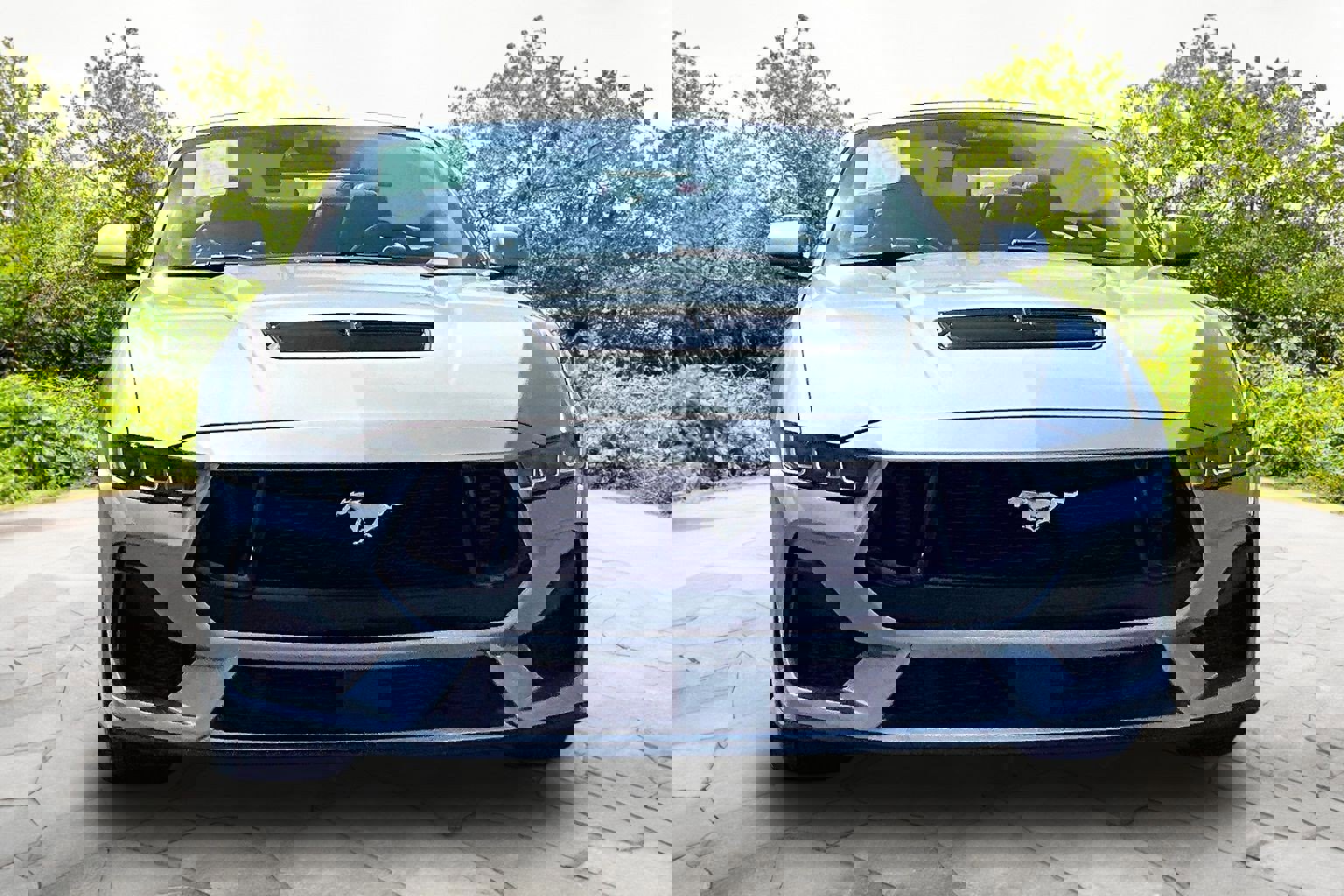 Certified 2024 Ford Mustang GT Premium image 3