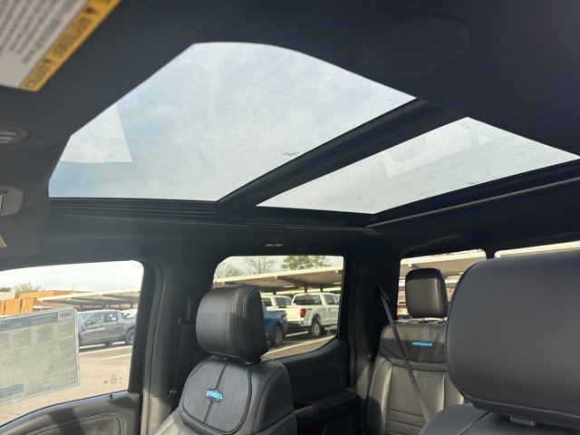 New 2026 Ford F250 Platinum w/ Tremor Off-Road Package image 19
