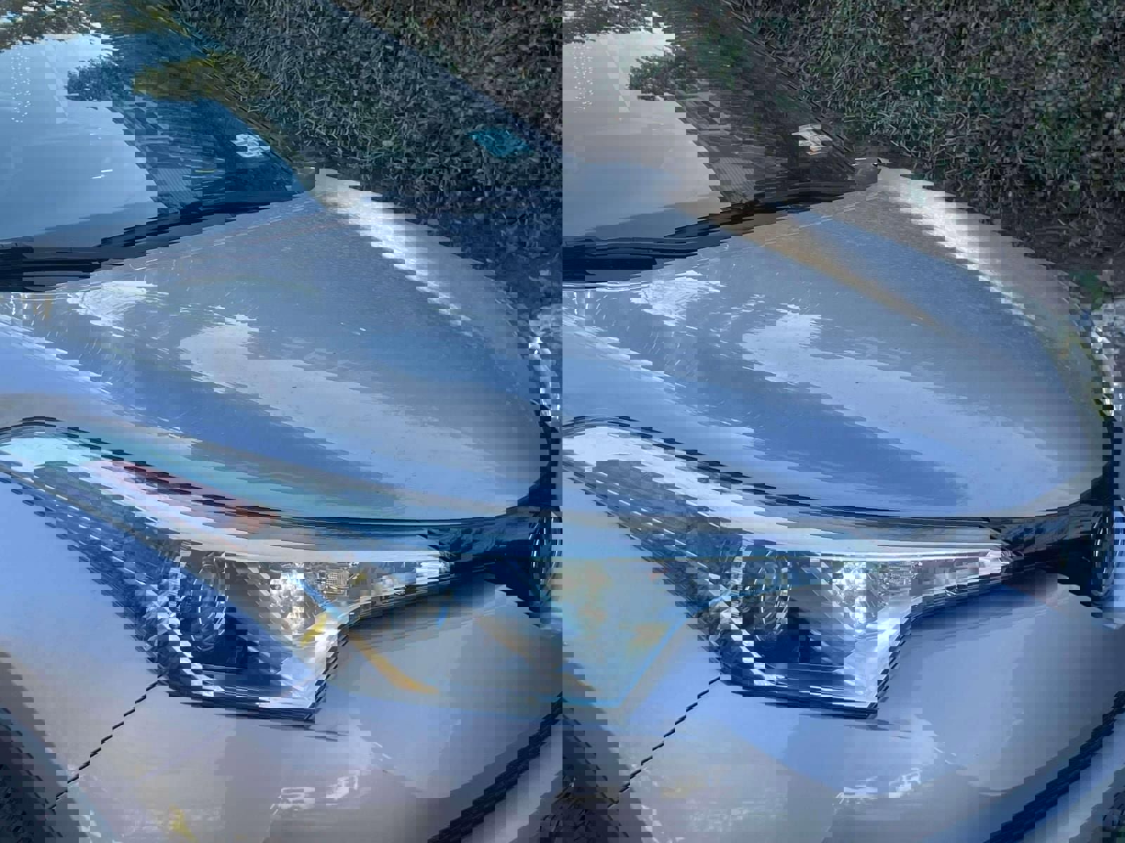 Used 2019 Toyota C-HR XLE image 7