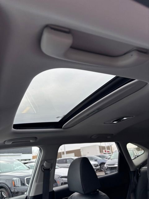 Certified 2023 Kia Seltos EX image 13