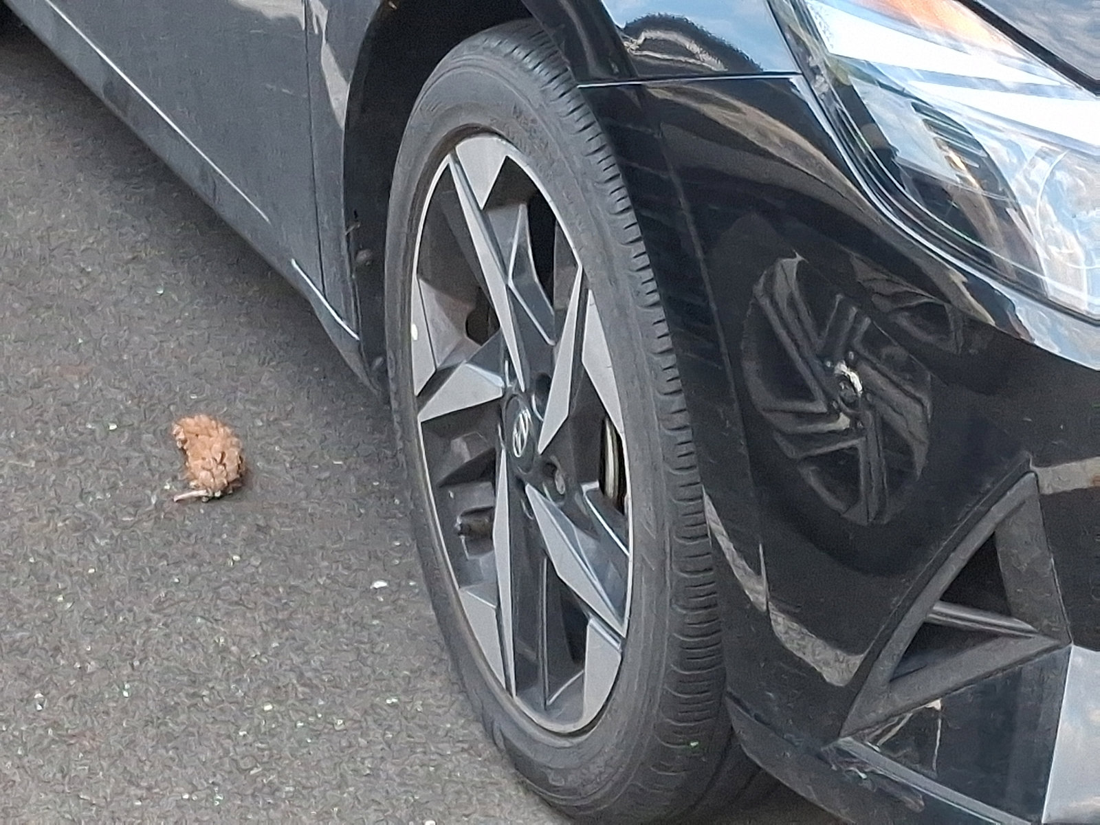 Certified 2023 Hyundai Elantra SEL w/ Convenience Package image 10