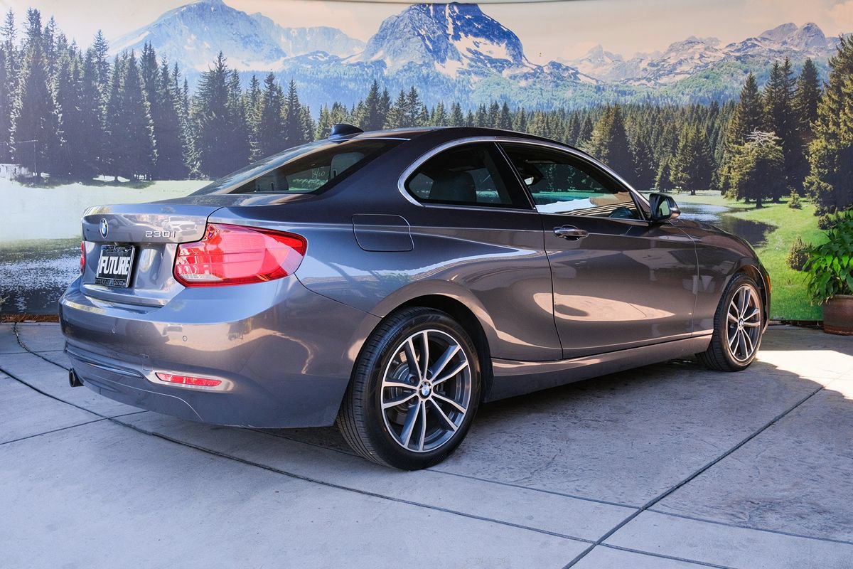 Used 2019 BMW 230i Coupe w/ Premium Package RWD image 6