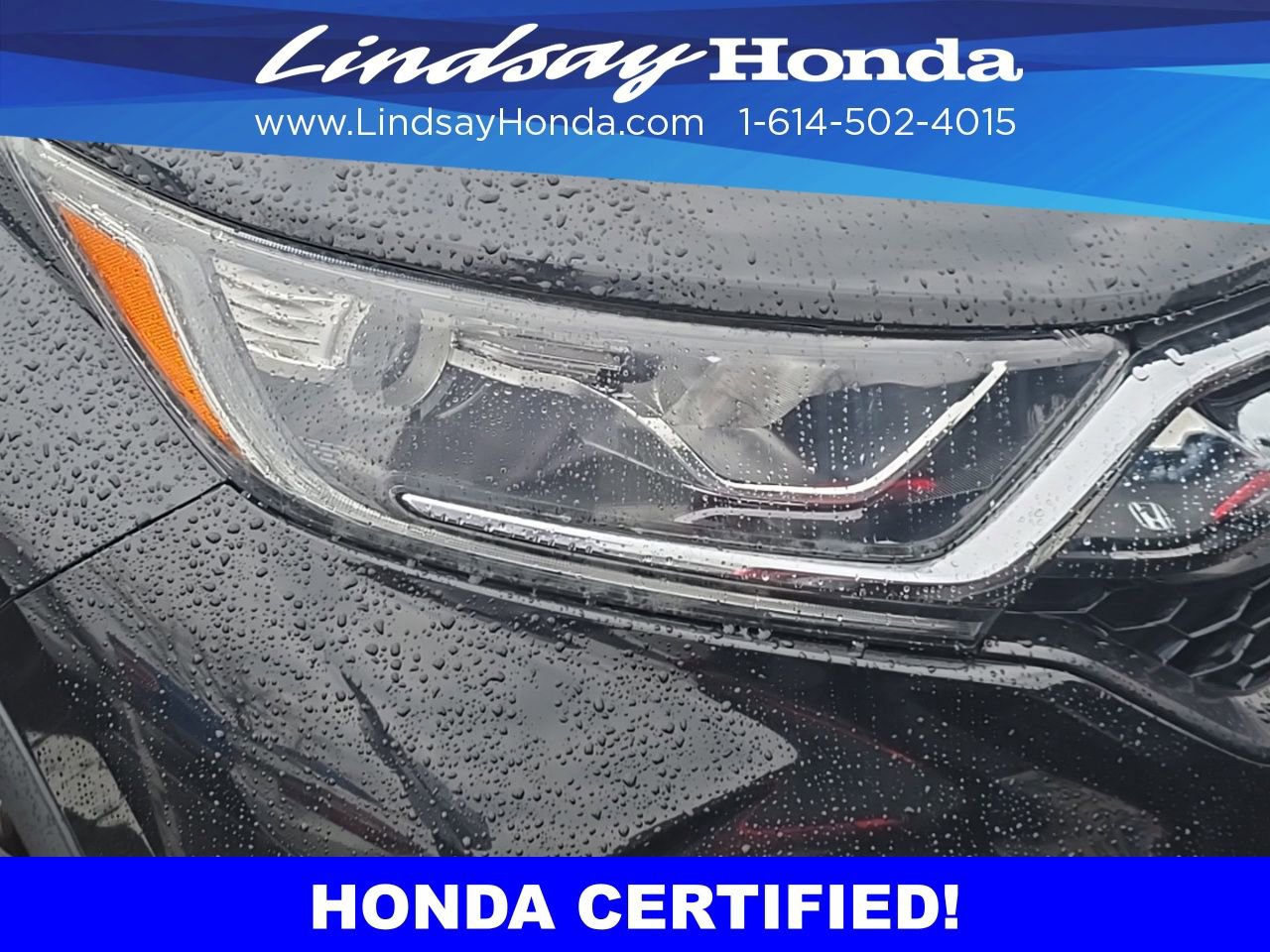 Certified 2019 Honda CR-V EX image 12